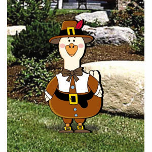 Mr. Pilgrim Goose