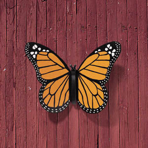 Madame Monarch Butterfly